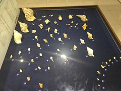 -青岛贝壳博物馆