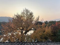 -溪口-滕头旅游景区