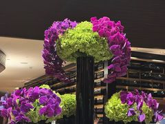 -誉珑轩