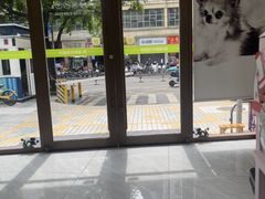 -瑞鹏宠物医院·微创内窥镜·骨外科·牙科(翠竹分院)