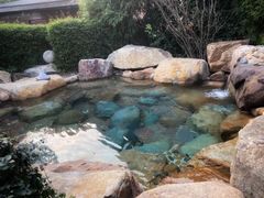 -天目湖涵田半山温泉