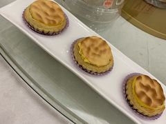 -新君悦国际酒店