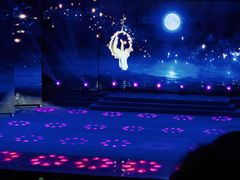 -南风大剧院莎梦二人转剧场