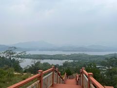 -李家庄村