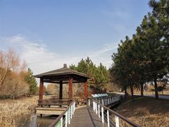-同里国家湿地公园