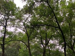 -食膳公园包子铺(烈士公园店)