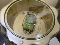 -上海昆虫博物馆