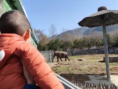-西安秦岭野生动物园