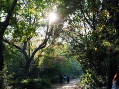 -虞山风景区