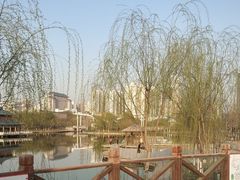 -雁滩公园