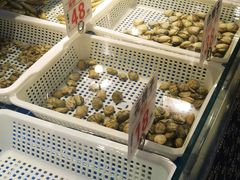 -破瓦寒窑·地摊烤羊排