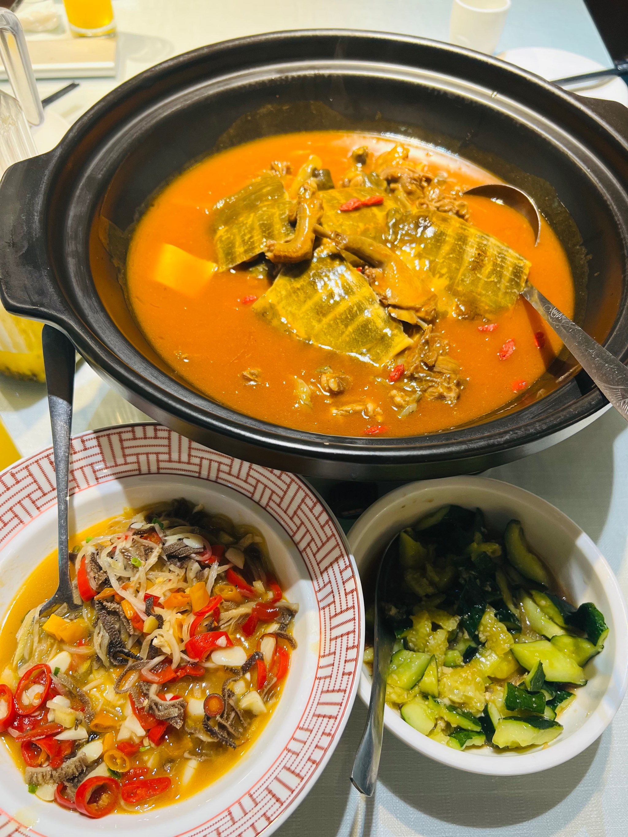 甲鱼把鸽子炖了,好吃的快晕了