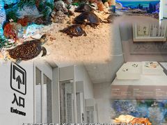 -中国（海南）南海博物馆