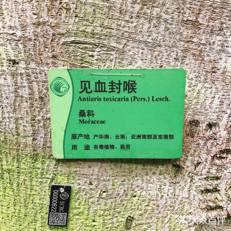  【攻略】跟着我一起玩转华南植物园