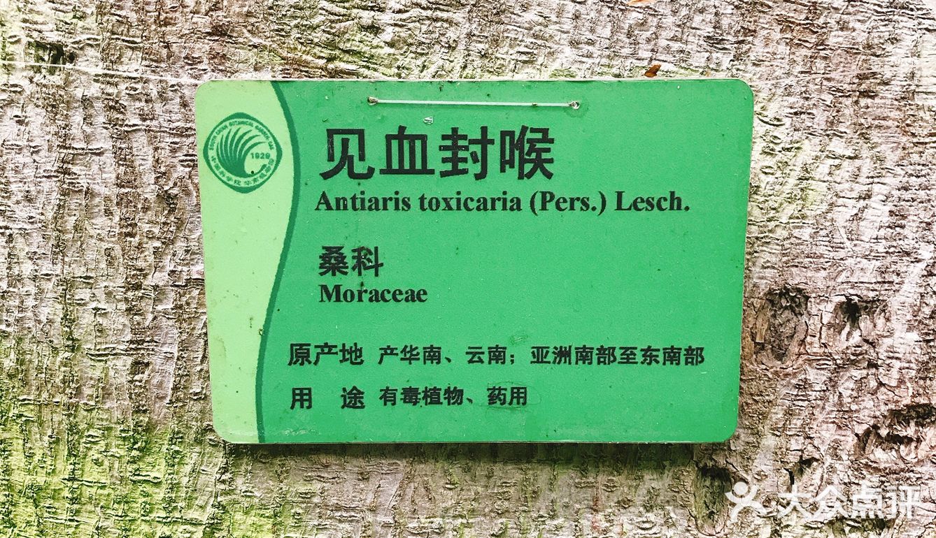  【攻略】跟着我一起玩转华南植物园