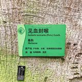  【攻略】跟着我一起玩转华南植物园