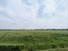 -嘉北郊野公园