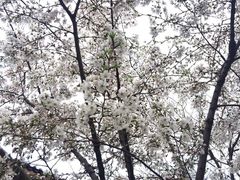 -知味观(翡翠城店)