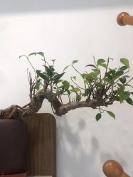 -德绣·机器野生眉发际线·美瞳线半永久