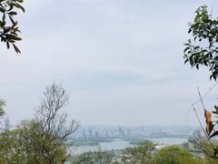 -紫金山山顶公园