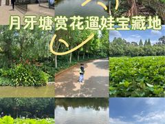 -月牙潭公园