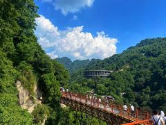 -少华山国家森林公园