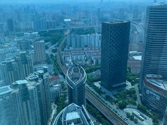 -上海龙之梦万丽酒店