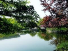 -嘉定紫藤园