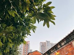 -晋江五店市传统文化旅游区