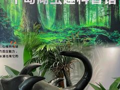 -绿城千岛湖喜来登度假酒店