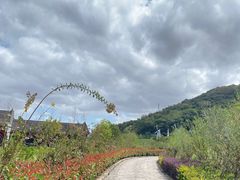-东海半边山旅游度假区