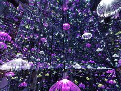 -杭州西湖星空魔幻城(星空艺术馆品牌旗舰店)