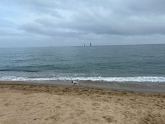 -小巴塞罗那海滩