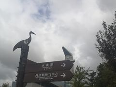 -盐城丹顶鹤湿地生态旅游区