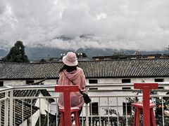 -喵屿·大理花园猫咖