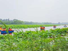-沈阳鸟岛