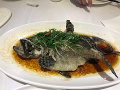清蒸沙巴龙胆斑-凯逸轩·匠心粤菜(中城名仕汇店)