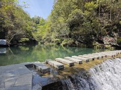 -石台牯牛降景区