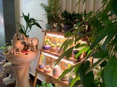 -十二舍·湯物素煮(江泰潤政店)