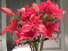 -南堂馆·新川菜(春熙路店)