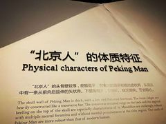 -北京周口店北京人遗址博物馆
