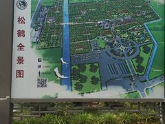 -松鹤墓园-停车场