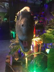 -恐龙探索乐园(磁器口店)