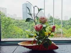 -初花·日本料理