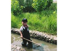 -乌村