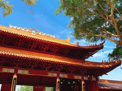-深圳仙湖植物园