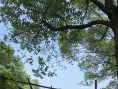 -东湖小天池真人CS彩弹野战基地