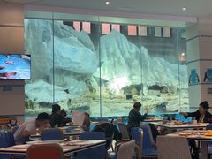 -帝企鹅自助餐厅•儿童岛•真企鹅(长隆企鹅酒店)