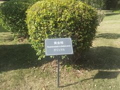 -厦门悦华酒店
