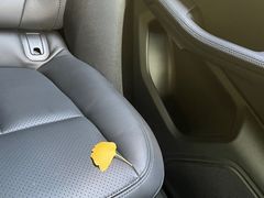 -红房子西菜馆(淮海中路店)